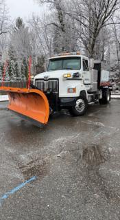 Plow / Salter truck