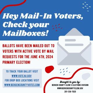 vote by mail