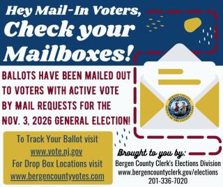 Mail in ballots
