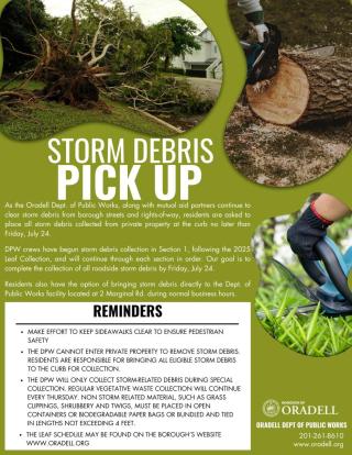 storm debris