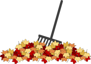 Leaves