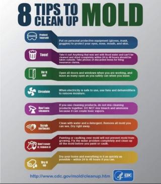 Mold Tips