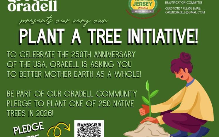 plant a tree