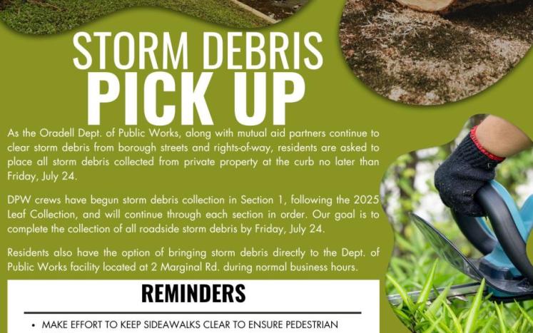 storm debris