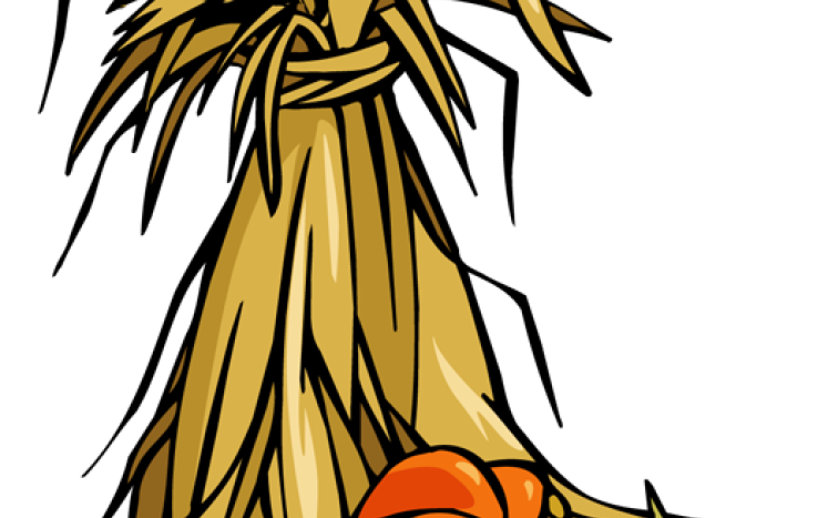 cornstalks