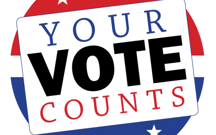 vote